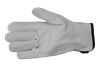 Handsker – Coyote Pro 2 Wenaas Small