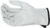 Handsker – Coyote Lite 2 Wenaas Small