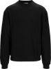 Sweater Collie 2 Black Wenaas  Miniature